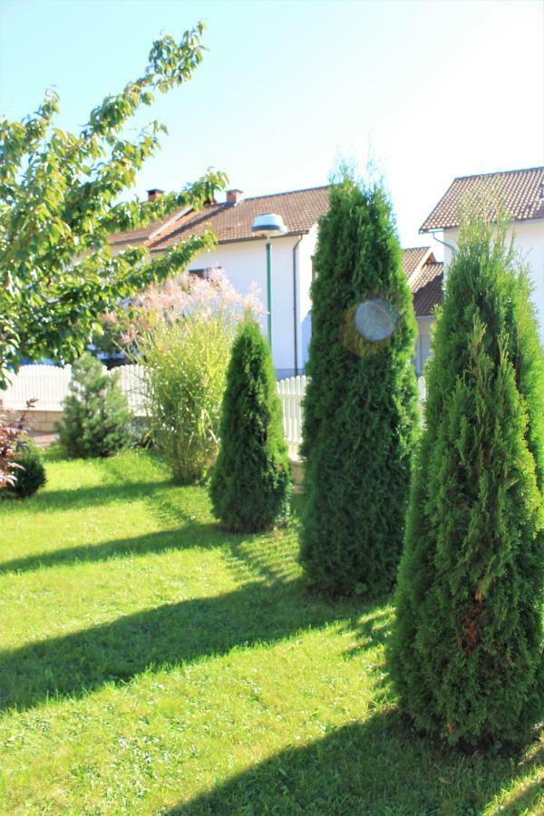 Yellow Dreamhouse Postojna Bagian luar foto